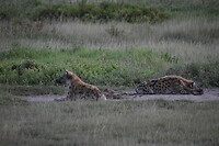 DSC_0322_1