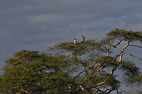 DSC_0256_1