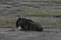 DSC_0253_1