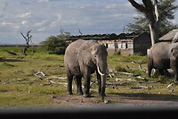 DSC_0251_1