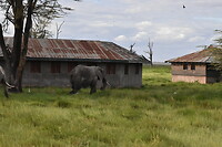 DSC_0245_1