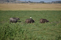DSC_0357_1