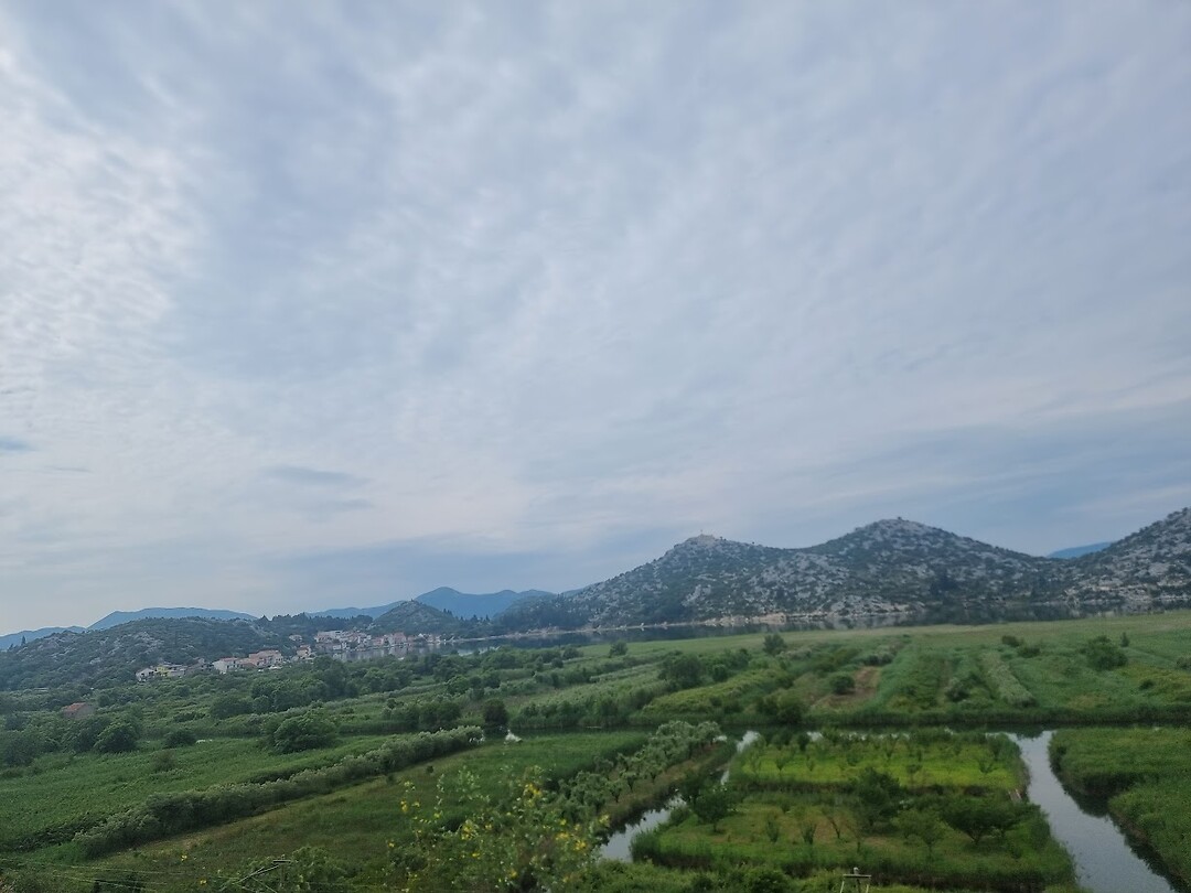 290524 01