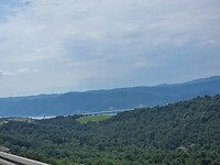 290524 03