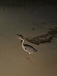 26092025 32