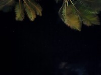 27092025 36
