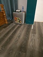 05032026 12