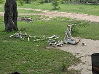 08032026 23