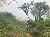 Wandelen op de berg in de woken
