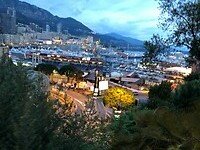 IMG_2518
