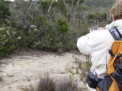 IMG_2552_Freycinet NP - Cape Tourville Walk_