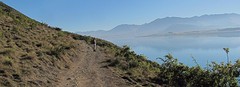 a IMG_2778_Lake Tekapo wandeling mt John