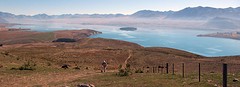 a IMG_2791_Lake Tekapo wandeling mt John- Panorama met Bep