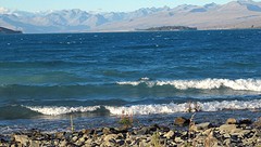 a IMG_2802_Lake Tekapo