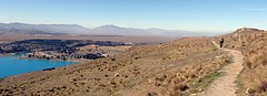 b DSC02734_Lake Tekapo - Mt John wandeling -panorama
