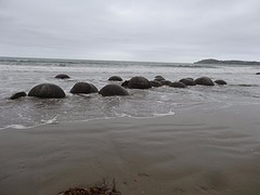 a1_DSC02844_van Mt Cook naar Portobello - Moeraki Boulders