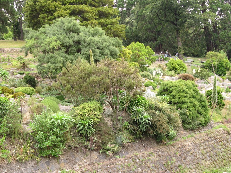 c_IMG_2987_botanic garden Dunedin