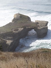 a1 DSC02974_Dunedin Tunnel Beach