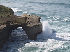 a1 IMG_3108_Dunedin Tunnel Beach