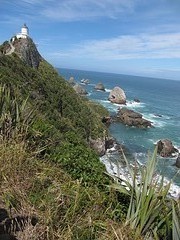 a2 IMG_3183_Nugget Point - vuurtoren