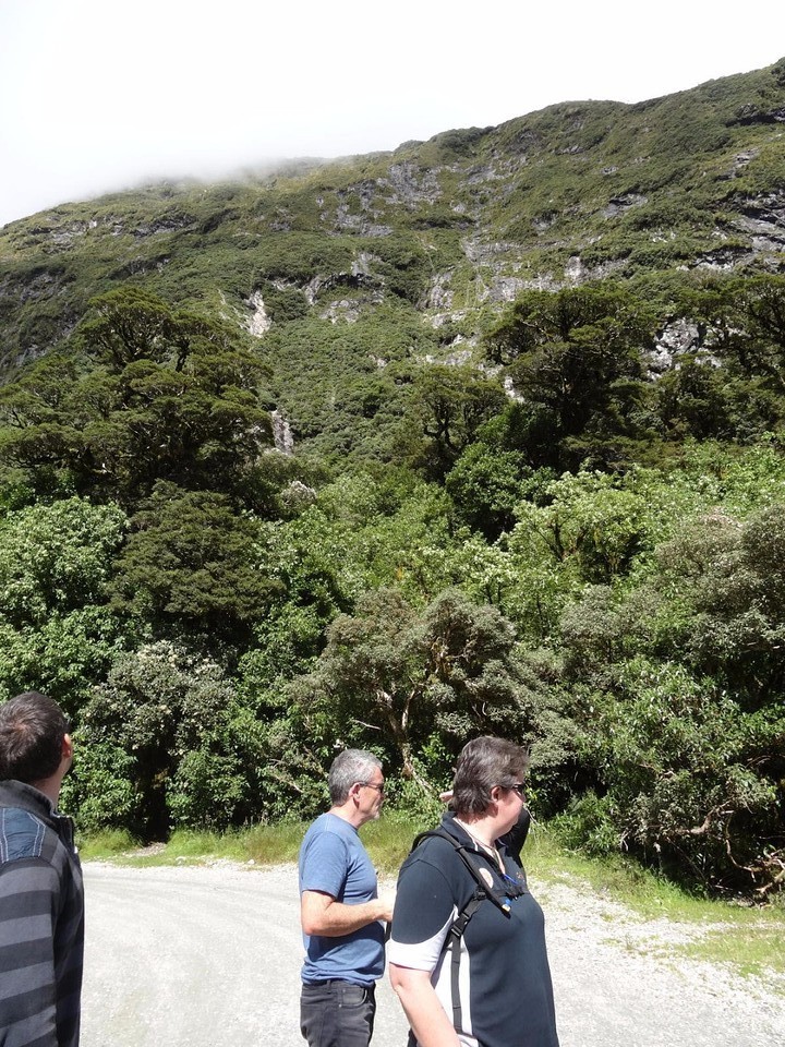 b3_DSC03149_Manapouri - boottocht Doubtful Sound- de chauffeuse