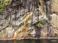 b6_IMG_3366_Manapouri - boottocht Doubtful Sound. - goud!!!
