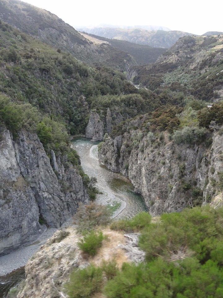 DSC03440_TranzAlpine van Christchurch naar Greymouth - bergkloof