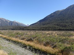 DSC03484_TranzAlpine van Christchurch naar Greymouth - vergezicht