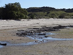 c4_DSC03732_Farewell Spit