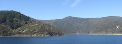 b1_DSC03811 Queen Charlotte Sound