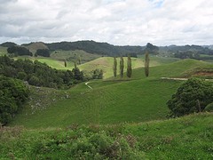 a1_IMG_4684_uitzicht Waitomo