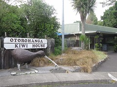 c6_IMG_4758_Otorohanga - het Kiwi House