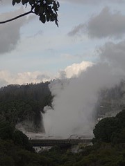 c2_DSC04246_Rotorua - Te Puia Geothermisch park - de geiser