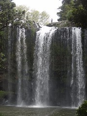 e1_DSC04482_whangarei waterval