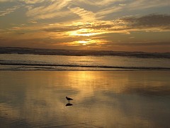 f1_IMG_5310_ondergaande zon Baylys Beach
