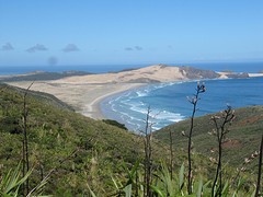 b3_IMG_5388_Bij Cape Reinga - Cape Maria van Diemen