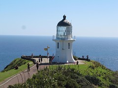 b3_IMG_5391_cape Reinga