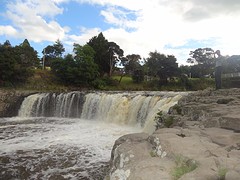 c2_DSC04765_de Haruru waterfal in Paihia