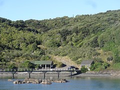 c1_DSC04881_het Tiritiri Matangi Island met Vic