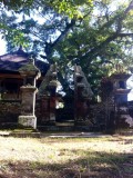 tempel in de rijstvelden