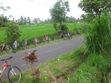 onze fietsjes bij de rijstvelden
