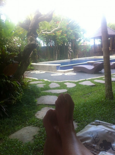 view