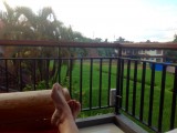 nice morning view
