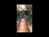 brug Bukit Lawan Sumatra