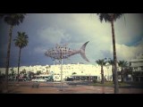 28 nov Conil de la Frontera