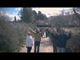 Wandeling door de amandelbloesems
