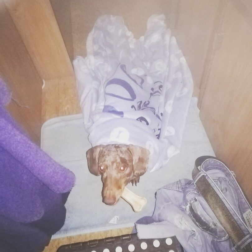 Hallo, wakker worden, ik heb t kluifje gevonden