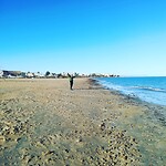 Laatste strandwandeling 2020