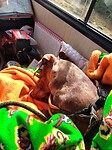 Teun on the roadzzzzz