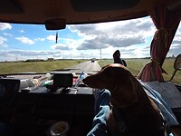 IMG_20220925_163822807